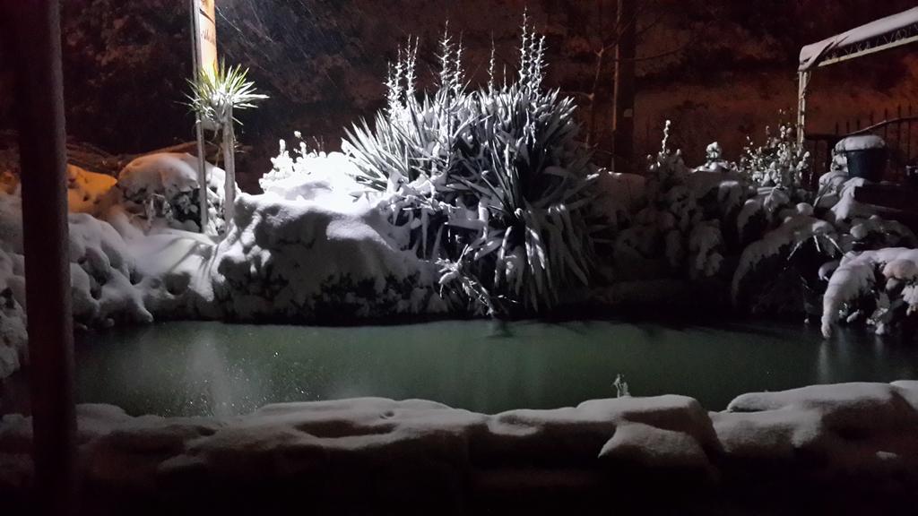 Alesta Butik Otel Ağva Exterior foto
